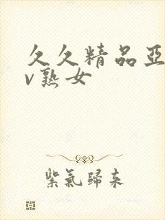 久久精品亚洲av熟女