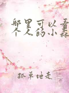 哪里可以看到两个人的小森林全集