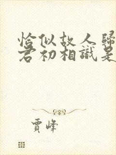 恰似故人归和与君初相识是一部电视剧吗