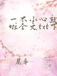 一不小心就无敌啦全文txt下载