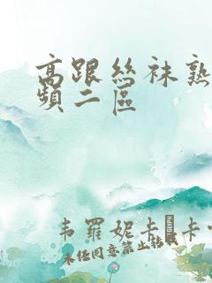 高跟丝袜熟女视频二区