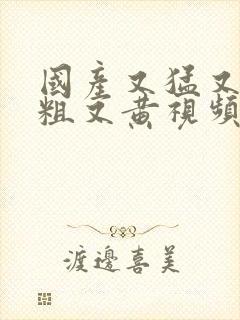 国产又猛又爽又粗又黄视频