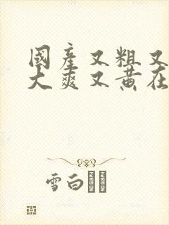 国产又粗又猛又大爽又黄在线