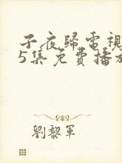 子夜归电视剧35集免费播放