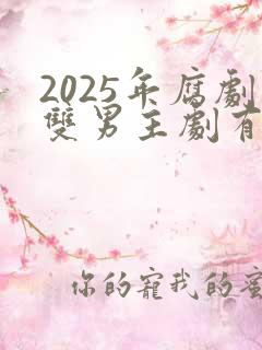 2025年腐剧双男主剧有哪些