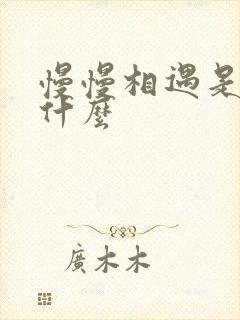 慢慢相遇是暗示什么