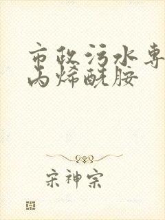 市政污水专用聚丙烯酰胺