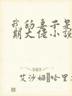 我的妻子是大乘期大佬小说txt下载
