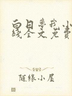 白日梦我小说在线全文免费阅读