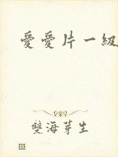 爱爱片一级