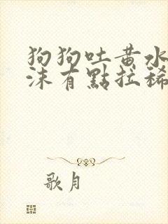 狗狗吐黄水带泡沫有点拉稀怎么办