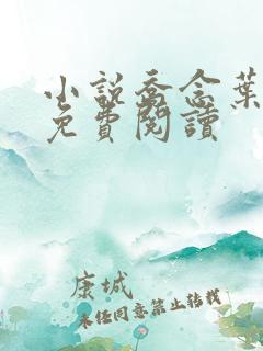 小说乔念叶妄川免费阅读