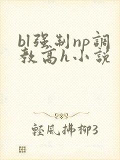bl强制np调教高h小说