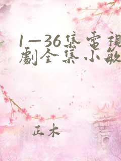 1—36集电视剧全集小敏家