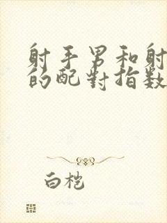 射手男和射手女的配对指数是多少