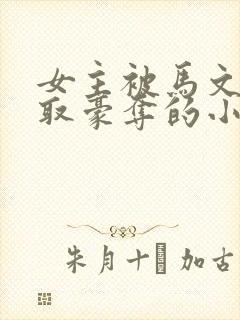 女主被马文才强取豪夺的小说