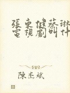 张东健蔡琳演的电视剧叫什么名字