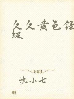 久久黄色录像一级