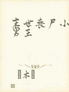 末世丧尸小说双男主