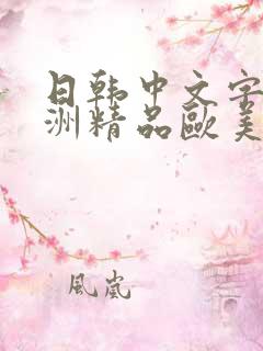 日韩中文字幕亚洲精品欧美