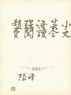 赵强洛芸小说免费阅读全文最新章节