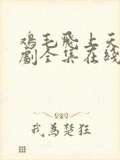 鸡毛飞上天电视剧全集在线观看免费