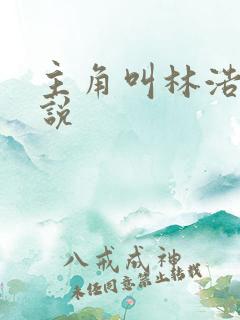 主角叫林浩的小说