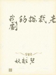 我的总裁老公短剧