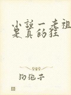 小说一老祖宗她是真的狂