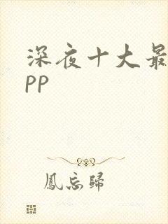 深夜十大最污app