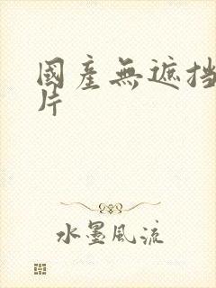 国产无遮挡一级片