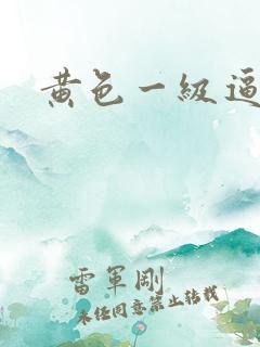 黄色一级逼片
