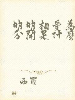 明明相爱为何要分开是什么歌