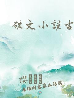 破文小说古言