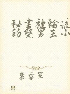 秘书被轮流欺负的双男主小说