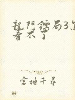 龙门镖局3怎么看不了