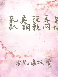 乳夹 玩弄 跪趴 调教网站