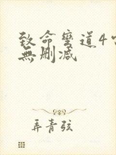 致命弯道4电影无删减