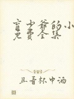 盲少爷的小女仆免费全集