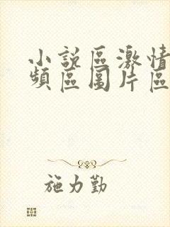 小说区激情区视频区图片区