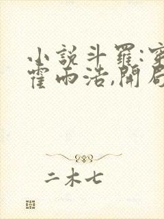 小说斗罗:穿越霍雨浩,开局拜师药老大结局