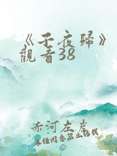 《子夜归》免费观看38