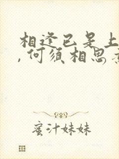 相逢已是上上签, 何须相思煮余年.