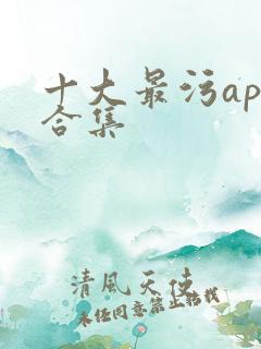 十大最污app合集