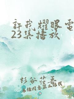 许我耀眼电视剧23集播放