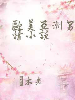 欧美亚洲另类激情小说