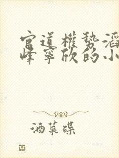 官道权势滔天林峰宁欣的小说名字