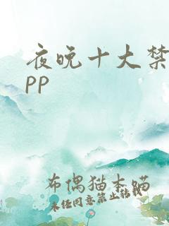 夜晚十大禁用app