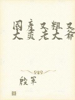 国产又粗又猛又大爽老大爷视频