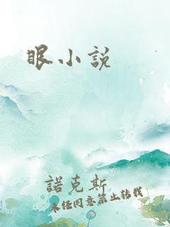 眼小说